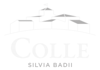 COLLE-Logo-Bianco-Grigio.png